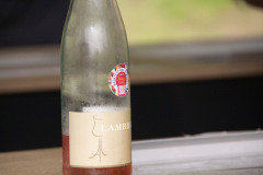 2024_Vinothek-am-Fort-Asterstein_©_Emma-Seidel