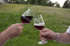 2024_Vinothek-am-Fort-Asterstein_©_Emma-Seidel